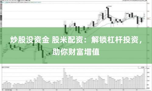 炒股没资金 股米配资：解锁杠杆投资，助你财富增值